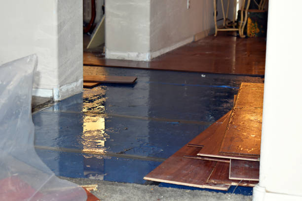 Professional Flood Cleanup technician working in Martensdale, IA
